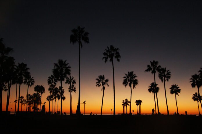 Pôr do sol com silhueta de palmeiras em Hollywood, refletindo o charme e a atmosfera icônica da cidade do cinema.