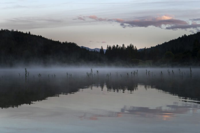 Paisagem serena de um lago com neblina ao amanhecer, cercado por árvores e montanhas ao fundo.